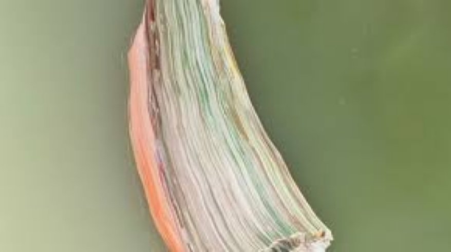 Modalités