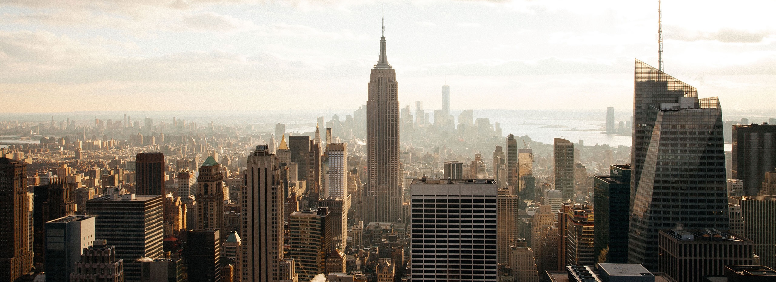 Executive Consulting